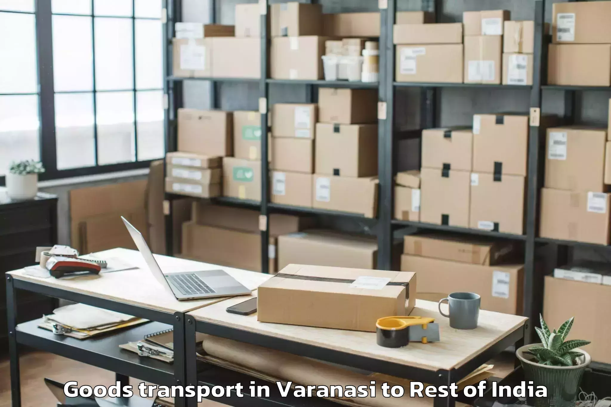 Trusted Varanasi to Sabroom Goods Transport